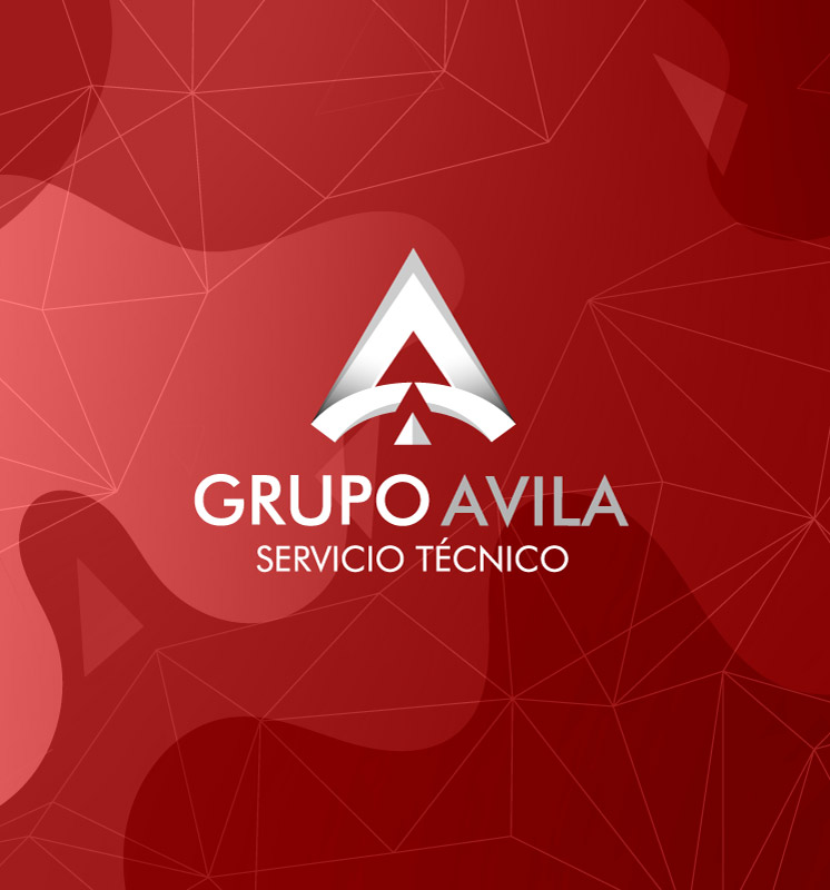Grupo Avila