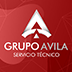 Grupo Avila